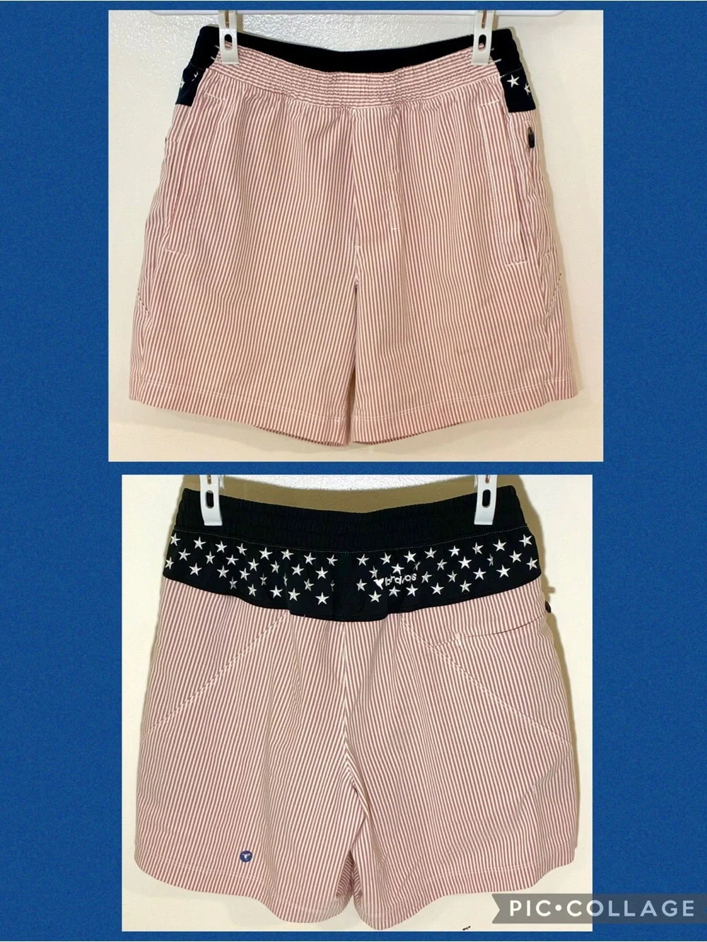Birddogs Sargeant Tuddy Gym Shorts with Liner
